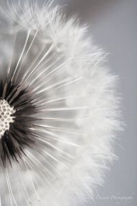 9a5cce1660425ed780be45ed4062c118